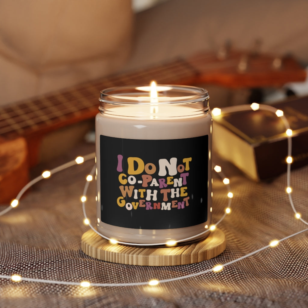 I do not Co-Parent with The Government Scented Soy Candle, 9oz