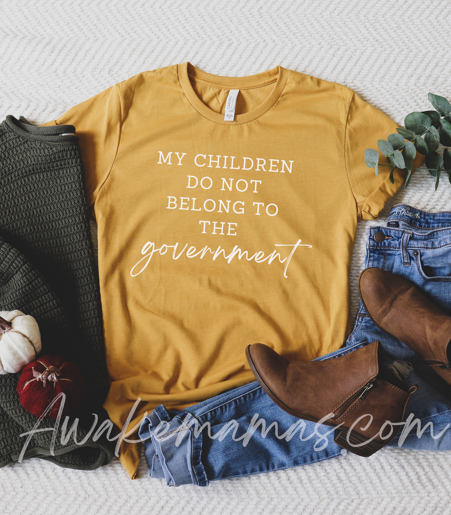 My Children Do Not Belong to The Government