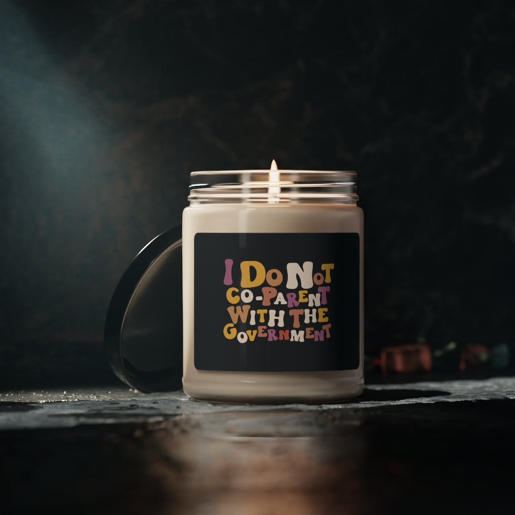 I do not Co-Parent with The Government Scented Soy Candle, 9oz